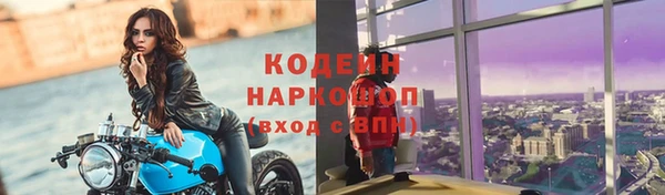 мет Елизово